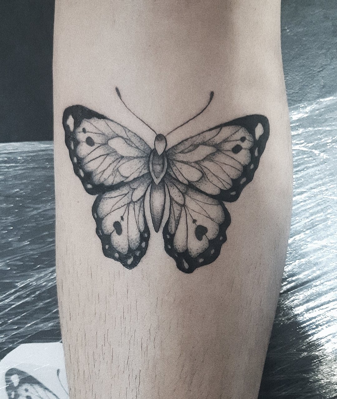 medium-sized black and grey tattoo on lower leg of a realistic delicate butterfly