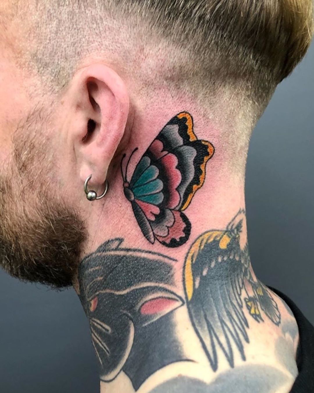 medium-sized traditional color tattoo behind man's ear of blue pink orange butterfly